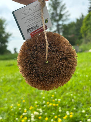 Kokosriekstu skrāpis